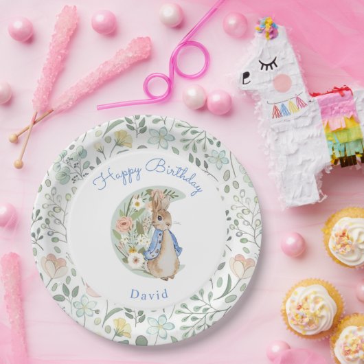Klassieke Peter het Konijn Beatrix Potter Verjaard Papieren Bordje (Feest)