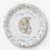 Klassieke Peter het Konijn Beatrix Potter Verjaard Papieren Bordje (Voorkant)