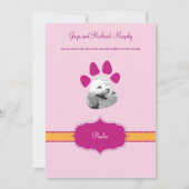 'Klassieke prep' nieuwe pop / Kat koninklijke adve Aankondiging (Voorkant)