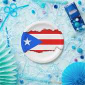Klassieke Puerto Ricaanse vlag Papieren Bordje (Feest)