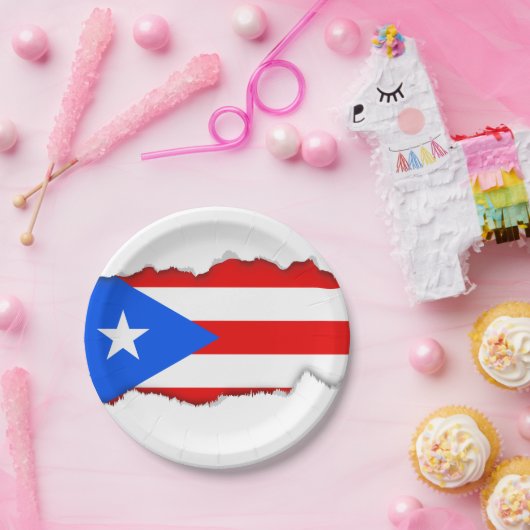 Klassieke Puerto Ricaanse vlag Papieren Bordje (Feest)