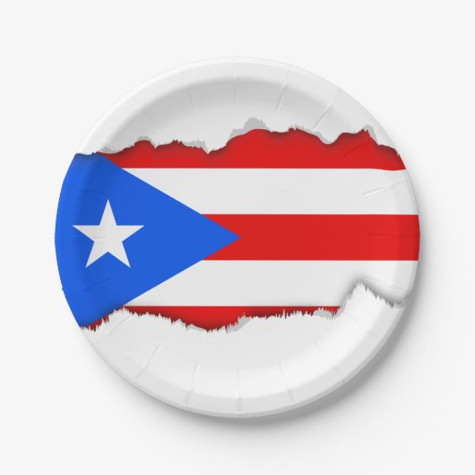 Klassieke Puerto Ricaanse vlag Papieren Bordje (Voorkant)