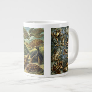 Klassieke reptielen en amfibieën door Ernst Haecke Grote Koffiekop