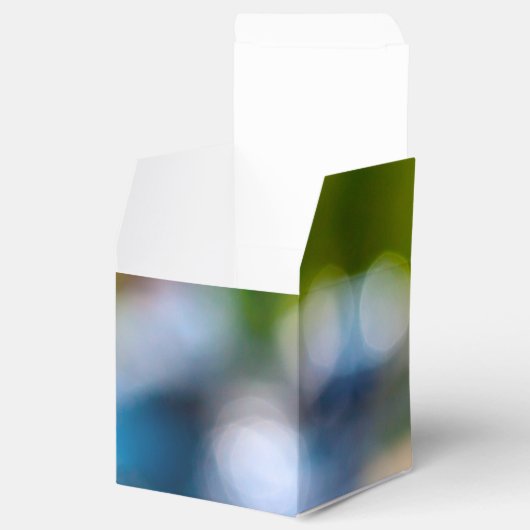 klassieke rider bedankdoosjes (Geopend)