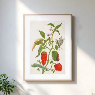 Klassieke Rode Chili Fruit Bloemige Botanische Kun Poster