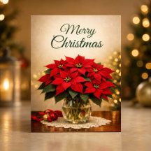 Klassieke Rode Poinsettia Prettig Kerstfeest