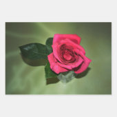 Klassieke rode rozen op groene Floral Inpakpapier Vel (Voorkant 3)