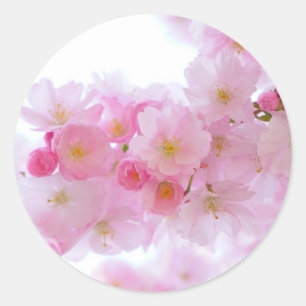 Klassieke ronde sticker