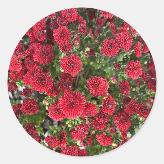 Klassieke ronde sticker (Voorkant)