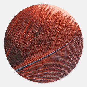 Klassieke ronde sticker