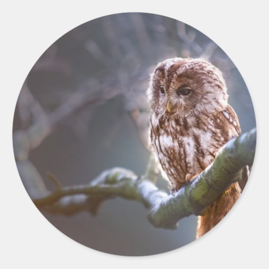 Klassieke ronde sticker (Voorkant)