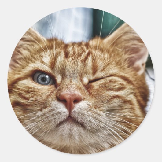 Klassieke ronde sticker (Voorkant)