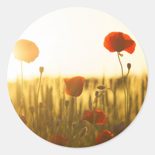 Klassieke ronde sticker (Voorkant)