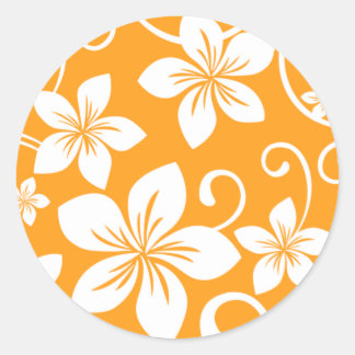 KLASSIEKE RONDE STICKER VAN BLAUW HAWAII (TANGERIN