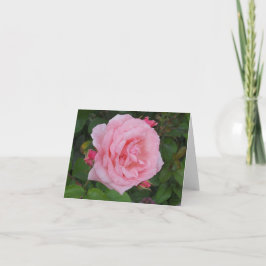 Klassieke Roze Roos Lege Vouwkaart Bedankkaart