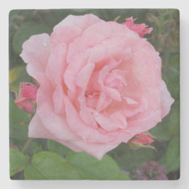Klassieke Roze Roos Stenen Onderzetter