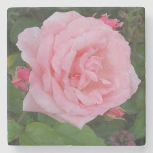Klassieke Roze Roos Stenen Onderzetter