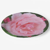 Klassieke roze Rose Papieren Bordje (Gekanteld)