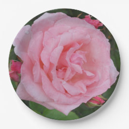 Klassieke roze Rose Papieren Bordje