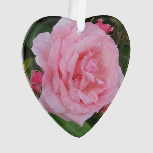 Klassieke roze roze acryl ornament (voorkant)