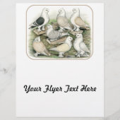 Klassieke Satinetten met Frill Duiven Flyer (Voorkant)