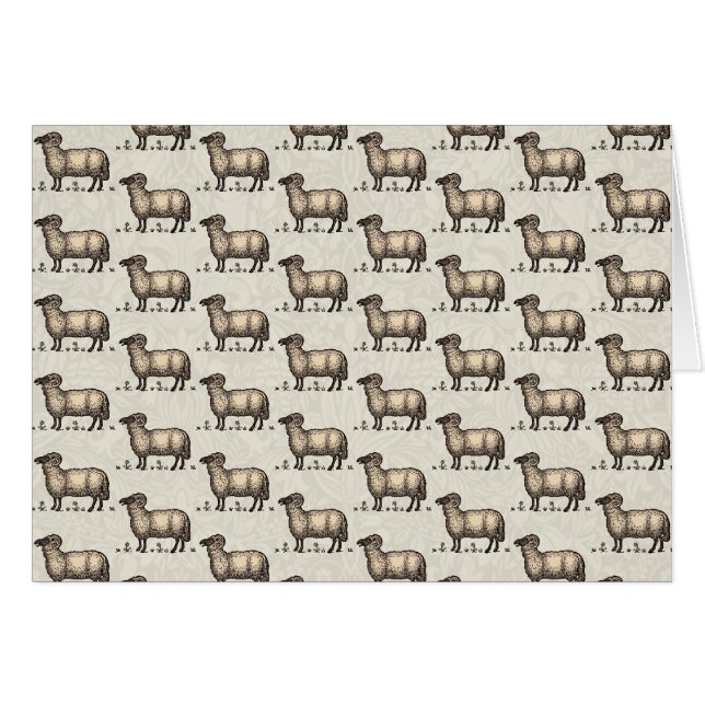 Klassieke Schapen Illustratie: Boerderij Kunst (Voorkant Horizontaal)