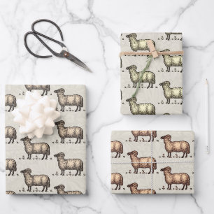 Klassieke Schapen Illustratie: Boerderij Kunst Inpakpapier Vel