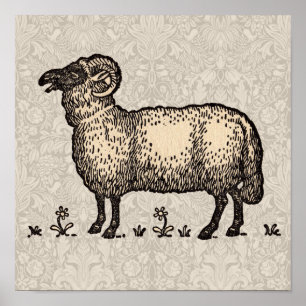 Klassieke Schapen Illustratie: Boerderij Kunst Poster
