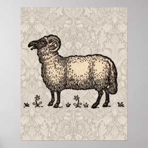 Klassieke Schapen Illustratie: Boerderij Kunst Poster