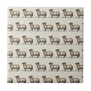 Klassieke Schapen Illustratie: Boerderij Kunst Tegeltje