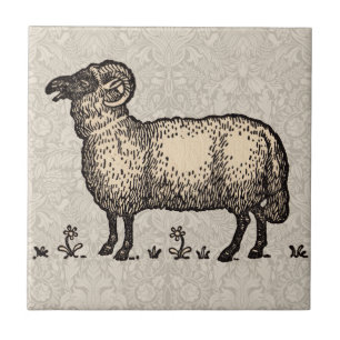 Klassieke Schapen Illustratie: Boerderij Kunst Tegeltje