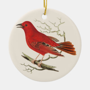Klassieke scharlaken tangare naturalist vogel deco keramisch ornament