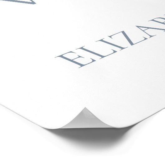 Klassieke Schattigee Teddy Bear Toile Balloon Welk Poster (Hoek)