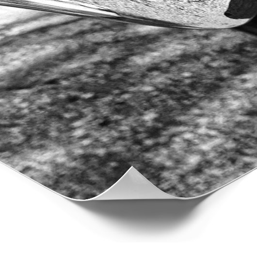 Klassieke schoonheid poster (Hoek)