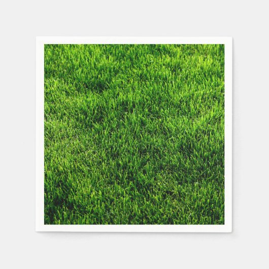 Klassieke stijlen texturen servet (Voorkant)