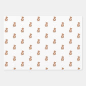 Klassieke Teddy Bear Roze Bow Baby shower Inpakpapier Vel (Voorkant)