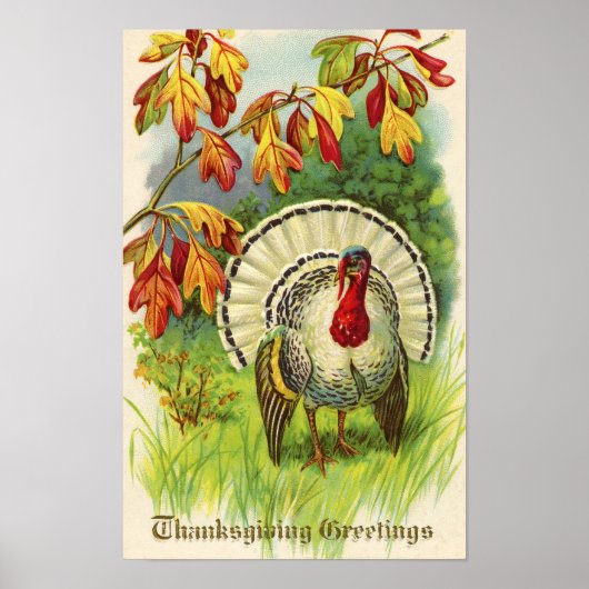 Klassieke Thanksgiving-kalkoen Poster (Voorkant)