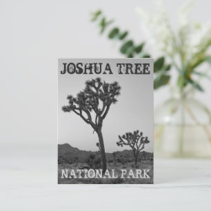 Klassieke Trendy Black & White Joshua Tree Souveni Briefkaart