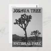 Klassieke Trendy Black & White Joshua Tree Souveni Briefkaart (Voorkant / Achterkant)
