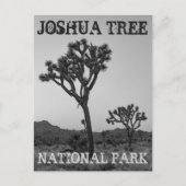 Klassieke Trendy Black & White Joshua Tree Souveni Briefkaart (Voorkant)