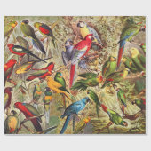 Klassieke  tropische vogelparrots cadeaupapier (Vlak)