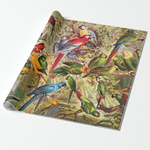 Klassieke  tropische vogelparrots cadeaupapier