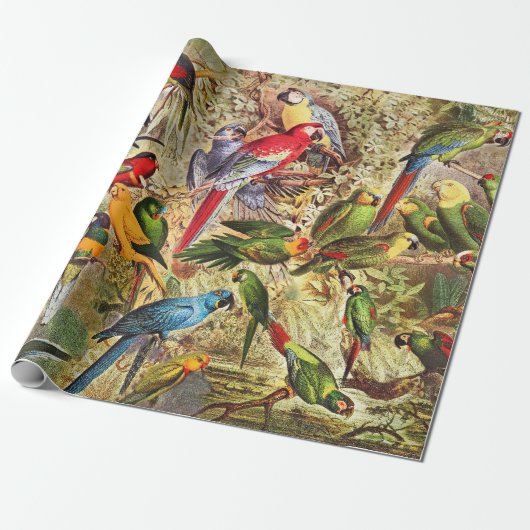 Klassieke  tropische vogelparrots cadeaupapier (Uitgerold)