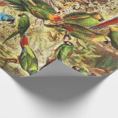 Klassieke  tropische vogelparrots cadeaupapier (Hoek)