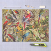 Klassieke  Tropische Vogelparrots ontkoppelen Tissuepapier (Craft)