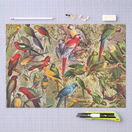 Klassieke  Tropische Vogelparrots ontkoppelen Tissuepapier (Craft)