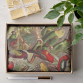 Klassieke  Tropische Vogelparrots ontkoppelen Tissuepapier (Geschenk)