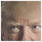 Klassieke trump 2020 stof (Close Up)