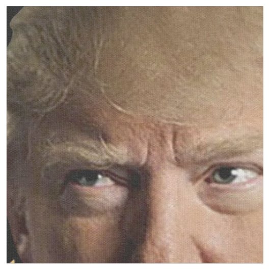 Klassieke trump 2020 stof (Close Up)