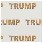 Klassieke trump 2020 stof (Close Up)
